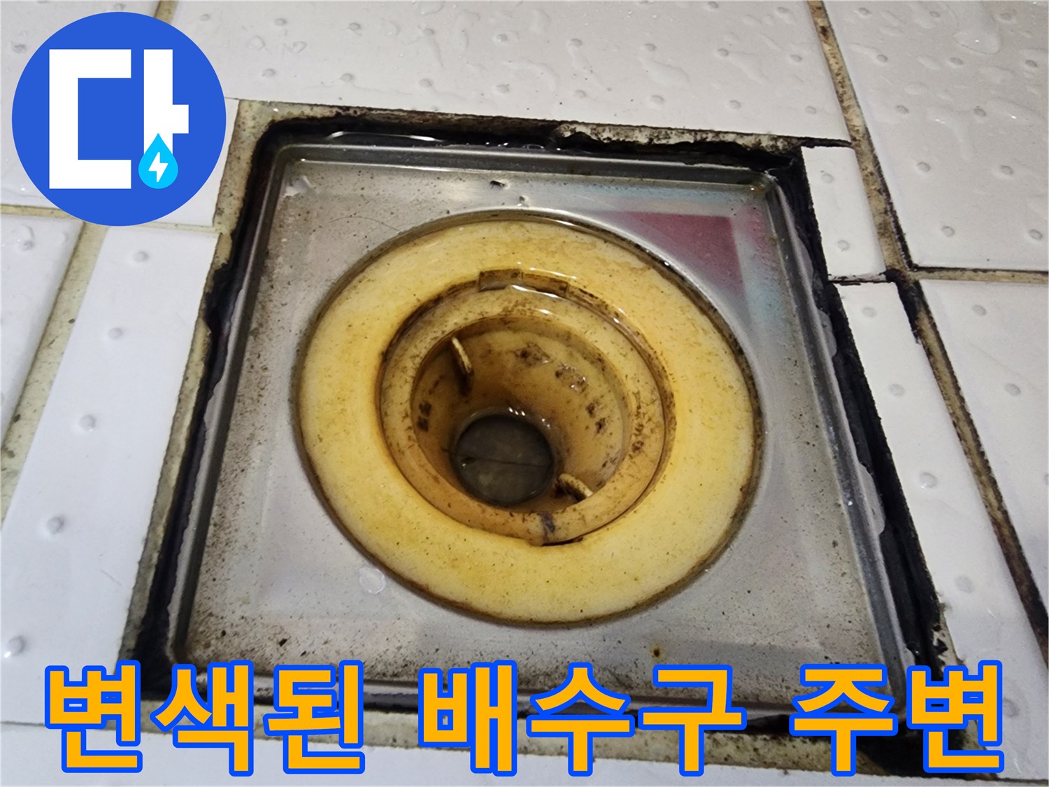 검게-변색된-배수구-주변의-타일-틈새