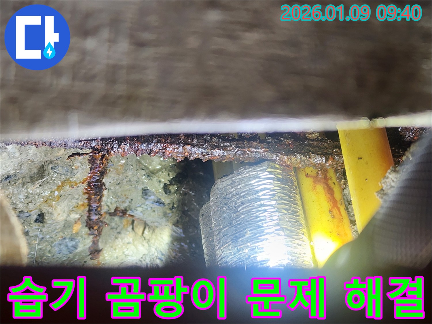 습기 곰팡이 문제 - 누수 원인 제거로 쾌적한 환경 조성