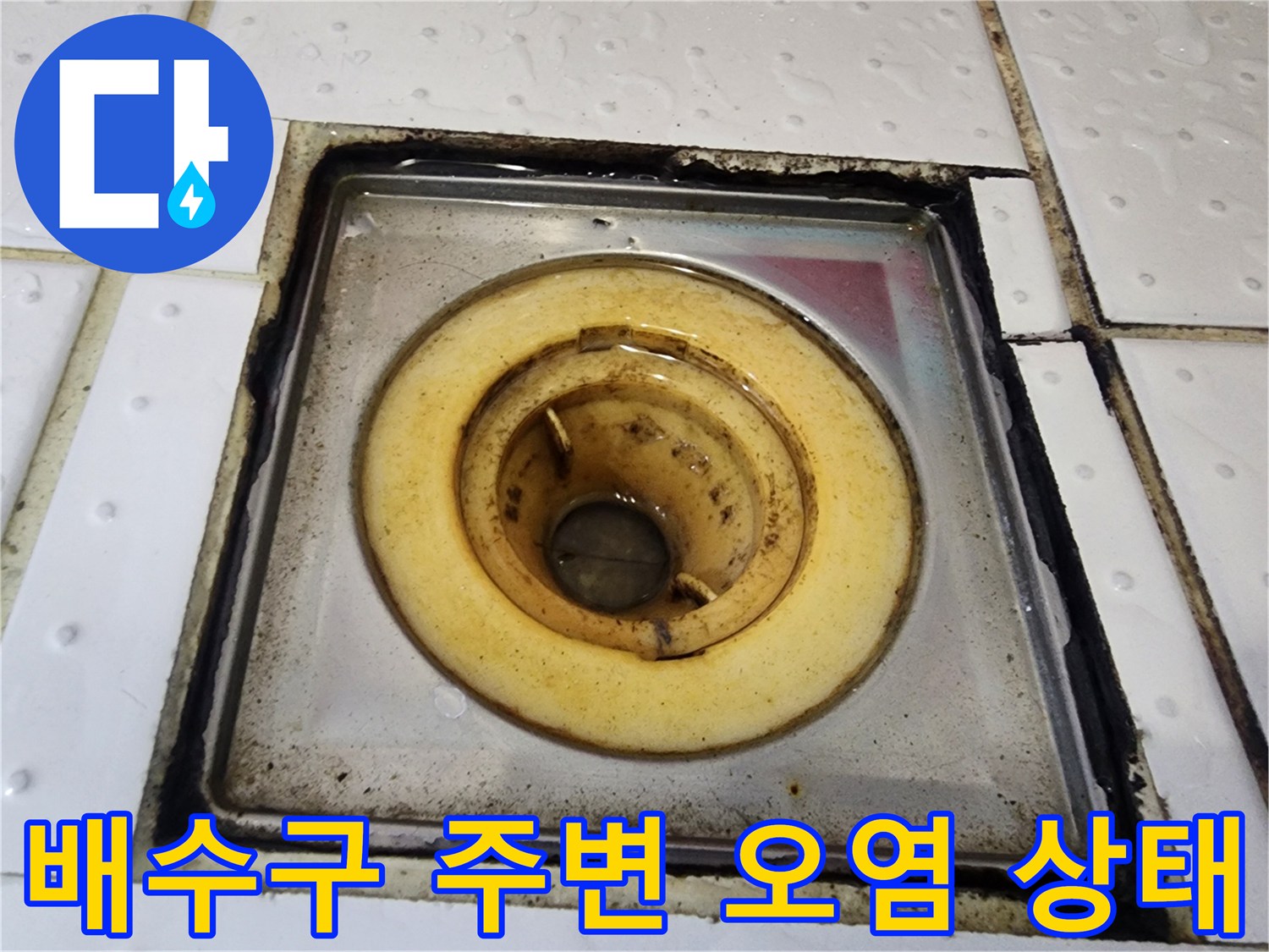 화장실-배수구-주변의-심한-이물질-및-오염-상태