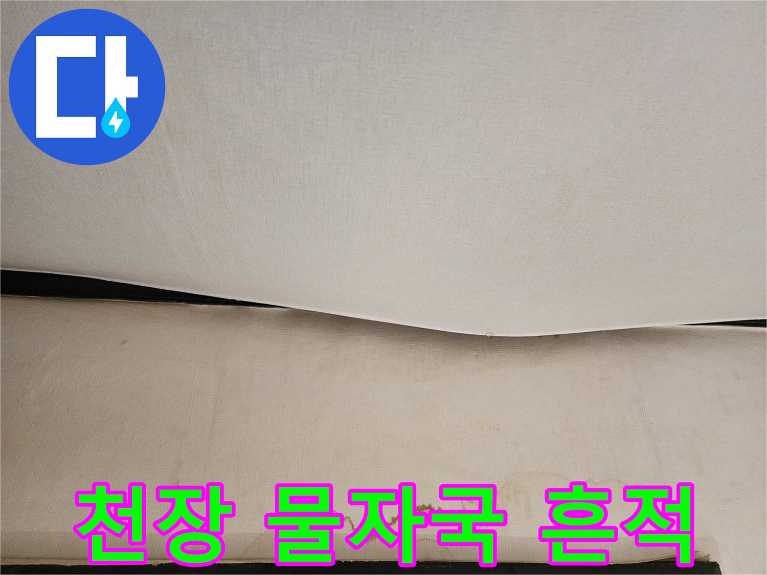 아랫집-현관-천장-물자국-번짐-상태