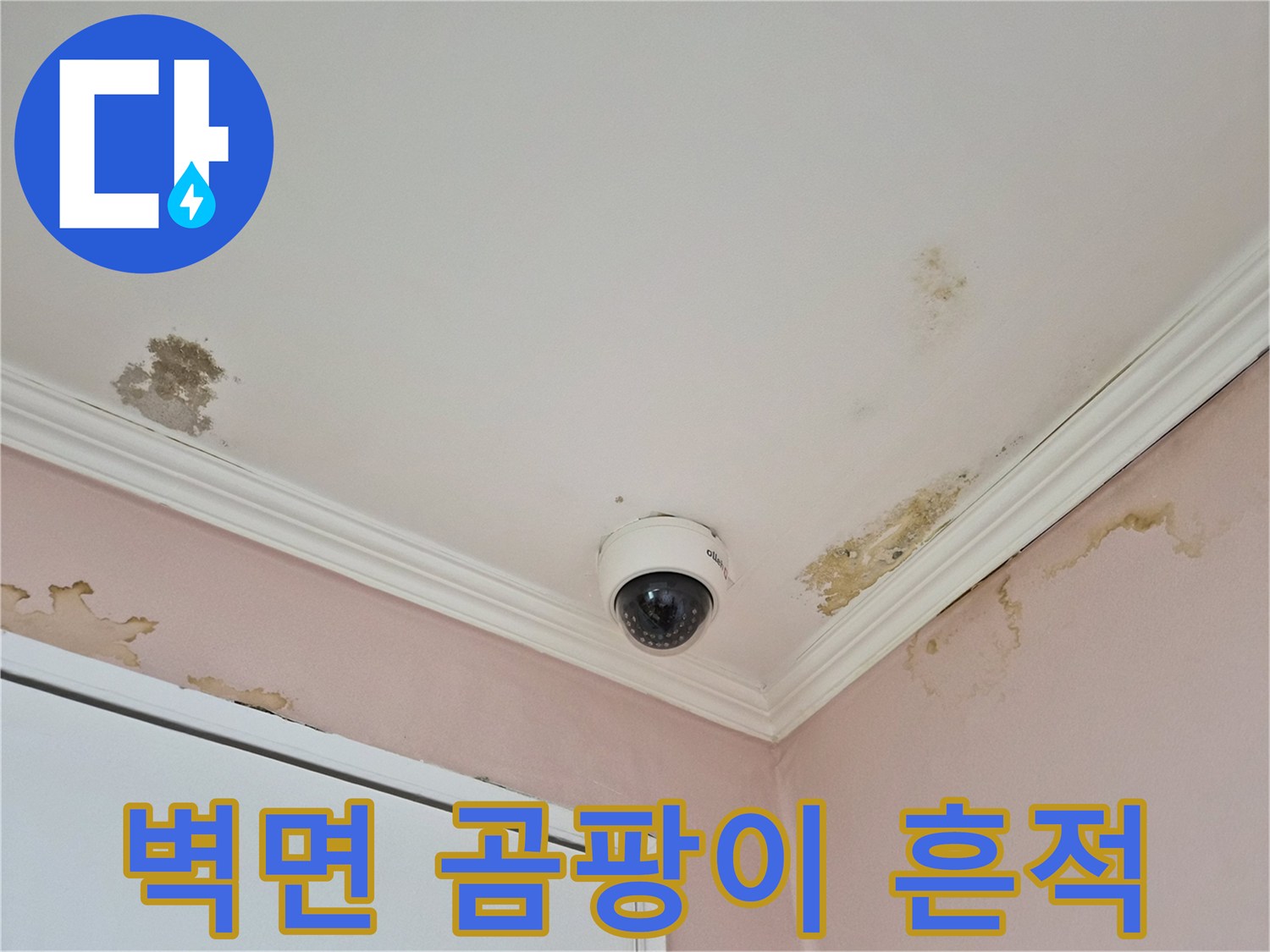 천장-몰딩-경계에-발생한-곰팡이와-변색