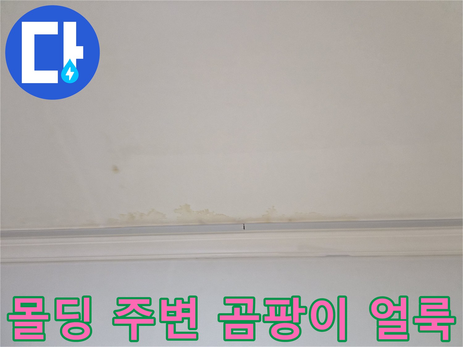 천장-몰딩-경계의-누수-및-곰팡이-오염