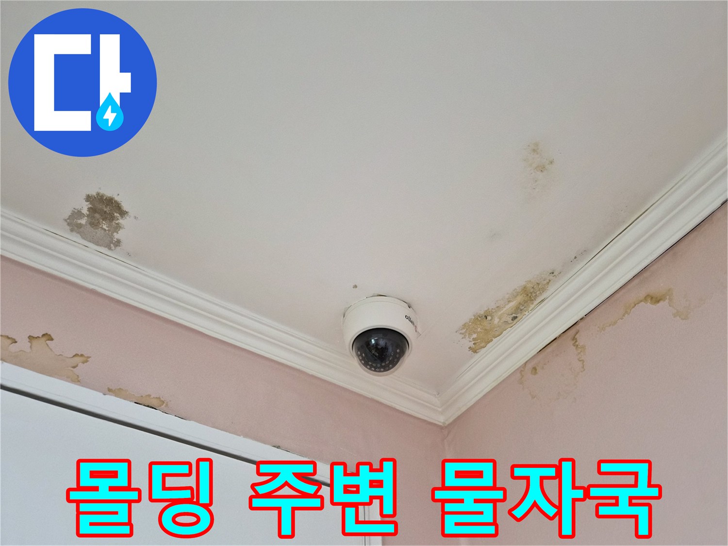 천장-몰딩-경계의-누수-흔적과-곰팡이