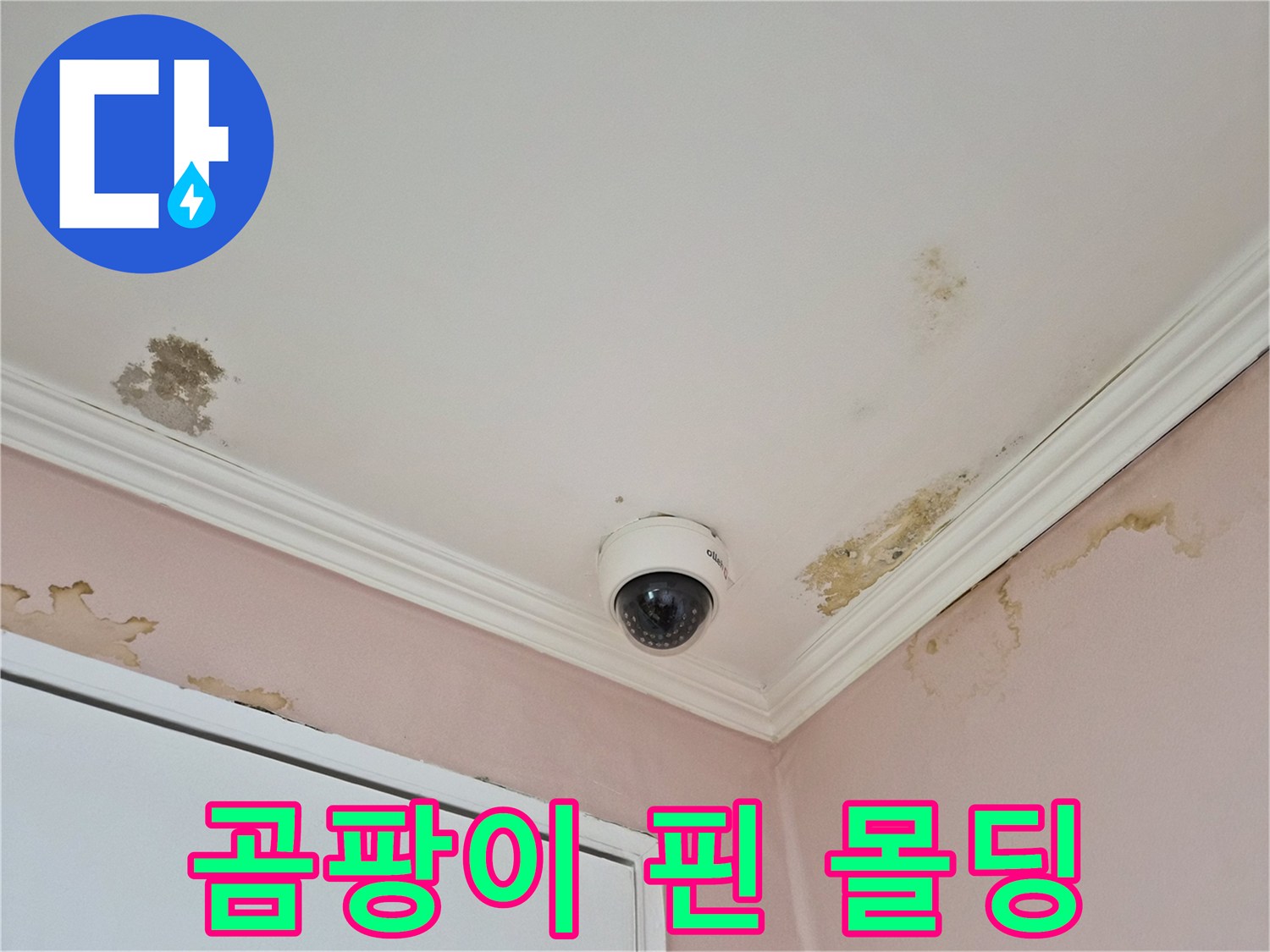 천장-몰딩-부위의-곰팡이와-습기_흔적