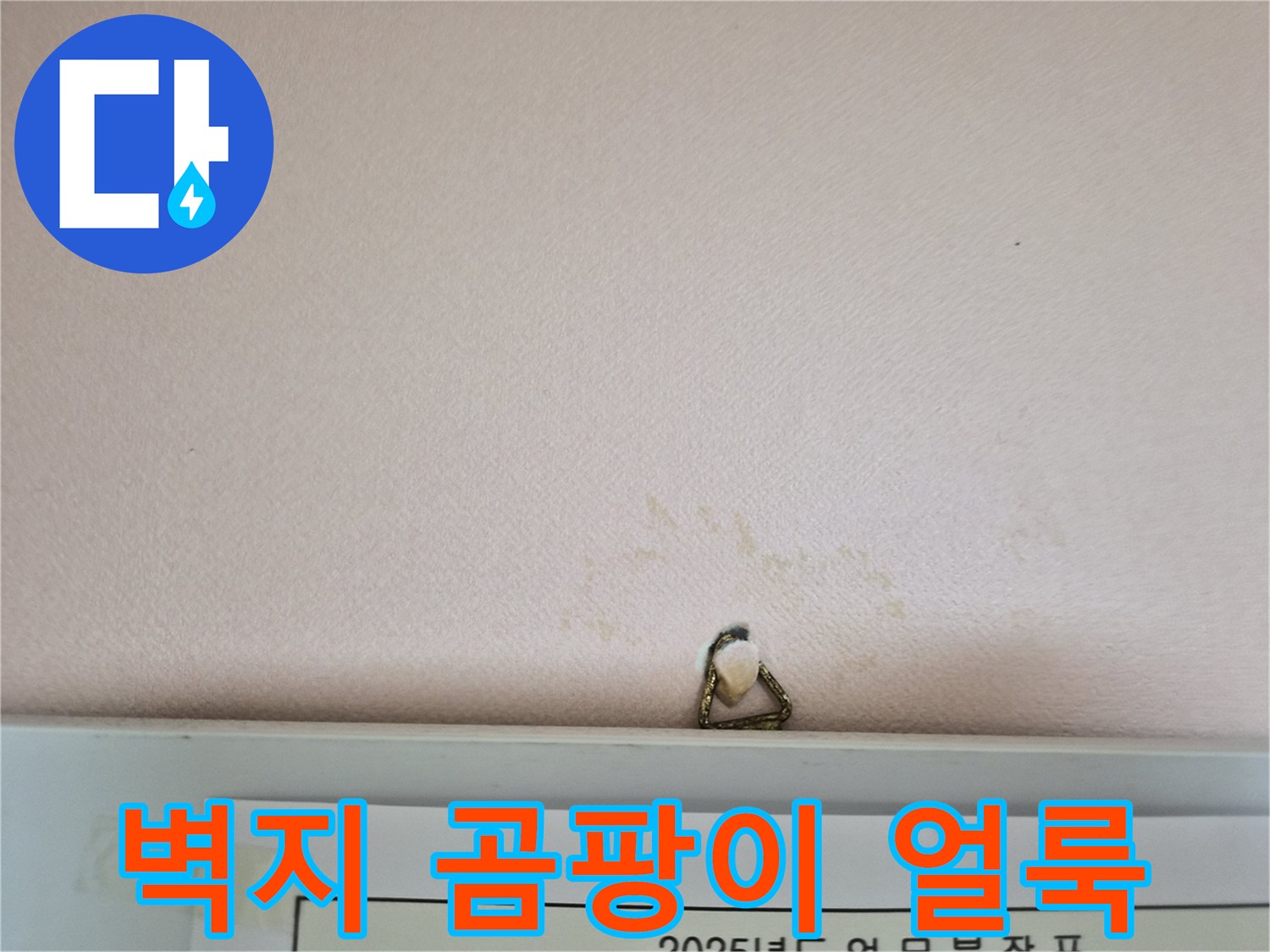 천장 벽면의 습기 및 변색 흔적 상세