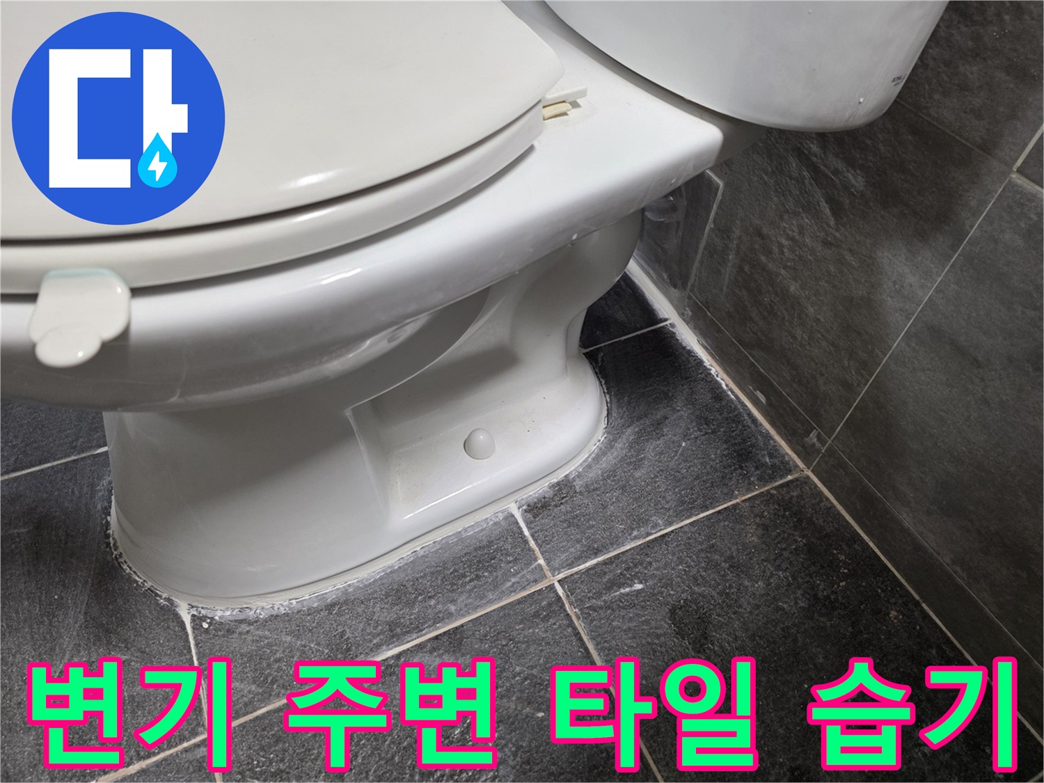 변기-밑부분-타일-틈새로-스며든-물기