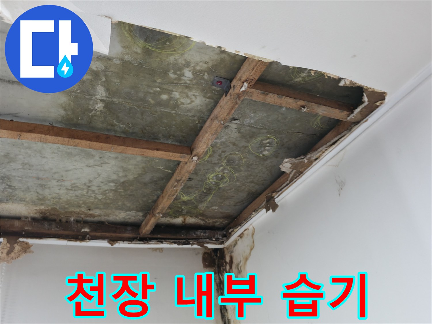 누수로 인해 변색된 천장 구조물 부위