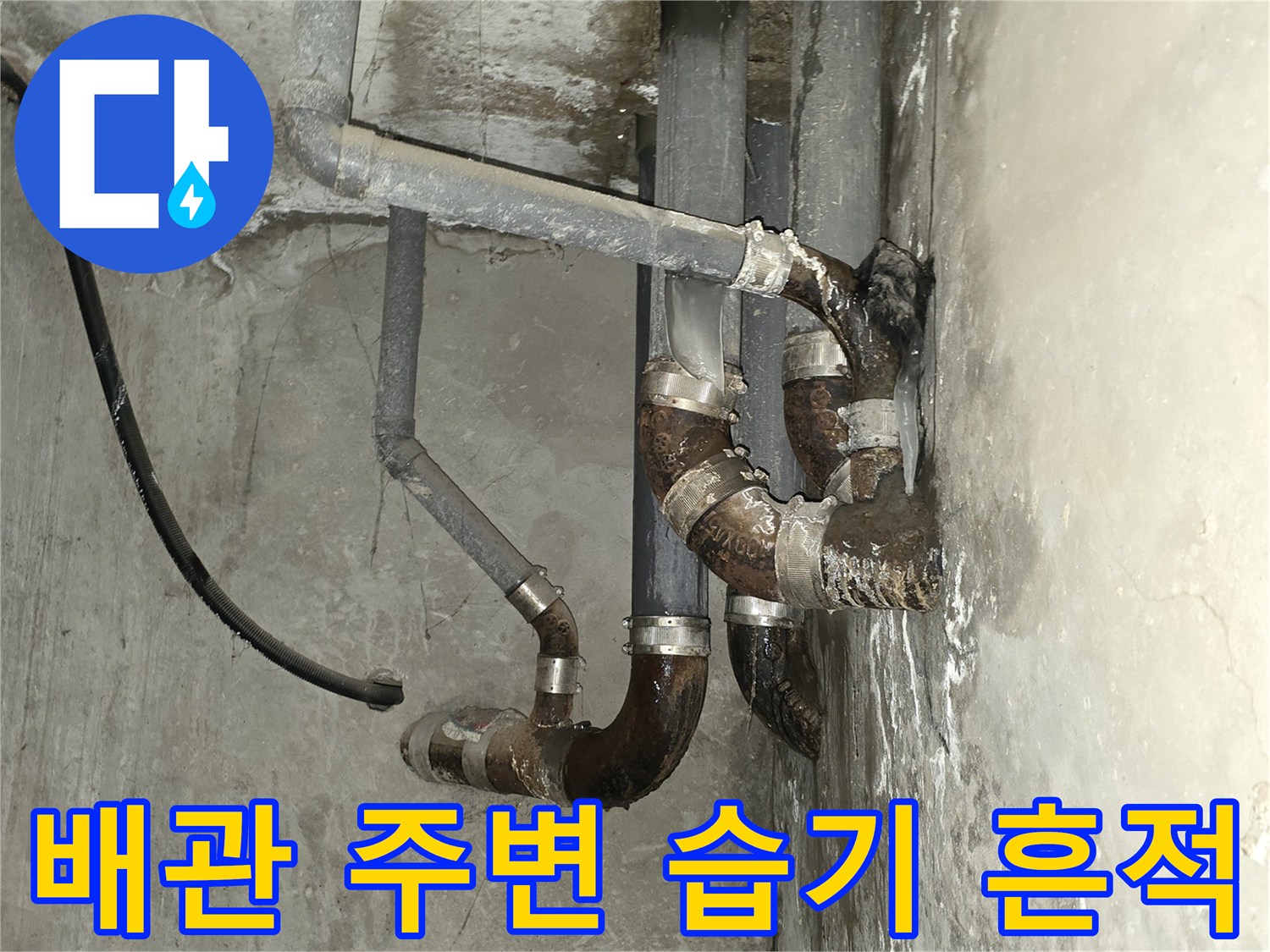 아파트 천장 슬래브-배관 연결 부위의 습기와 곰양흔적