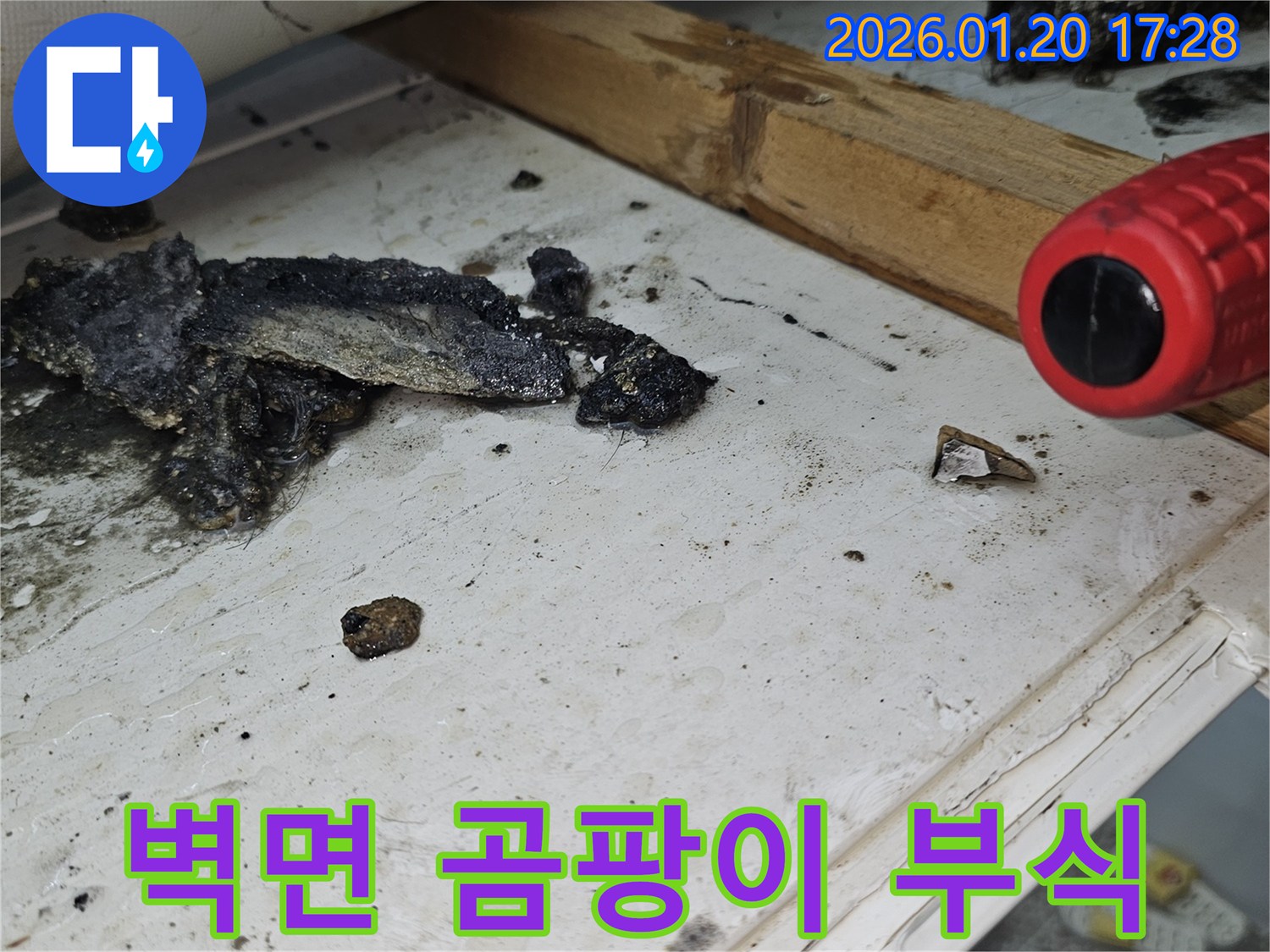 중계동 누수 현장-누수로 인해 벽면이 곰팡이와 부식으로 심하게 오염된 상태