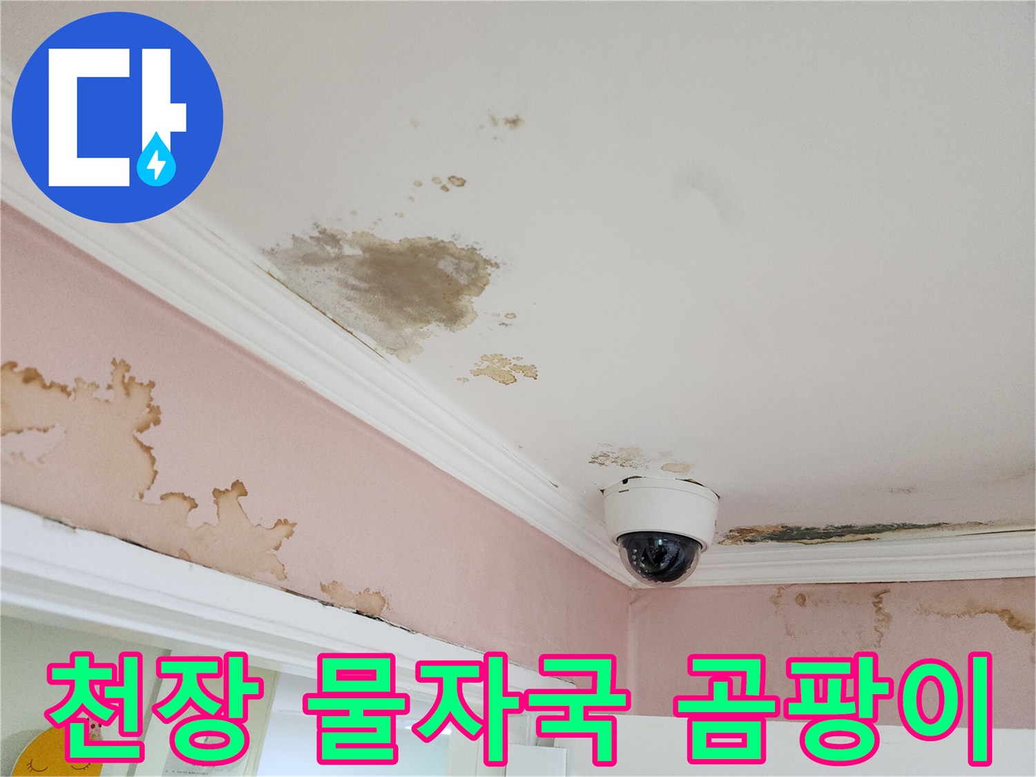 강남구 아파트-천장 물자국과 곰팡이가 발생한 상태