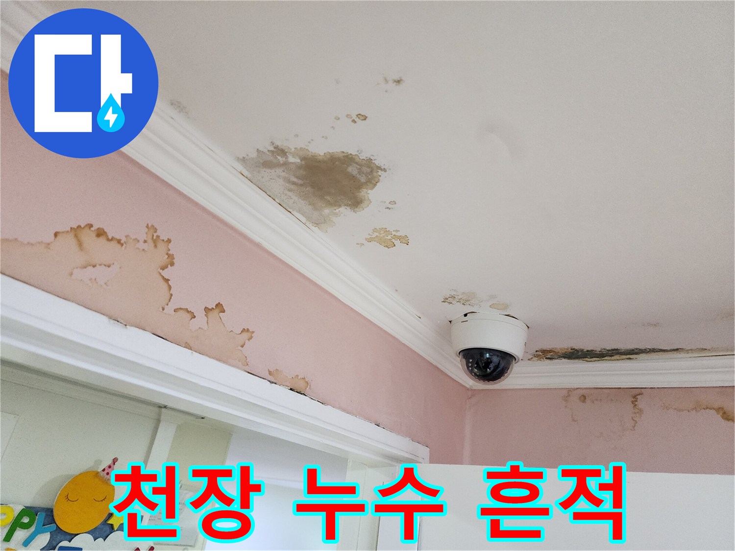 강남구 현장 천장-곰팡이와 물자국이 번진 상태