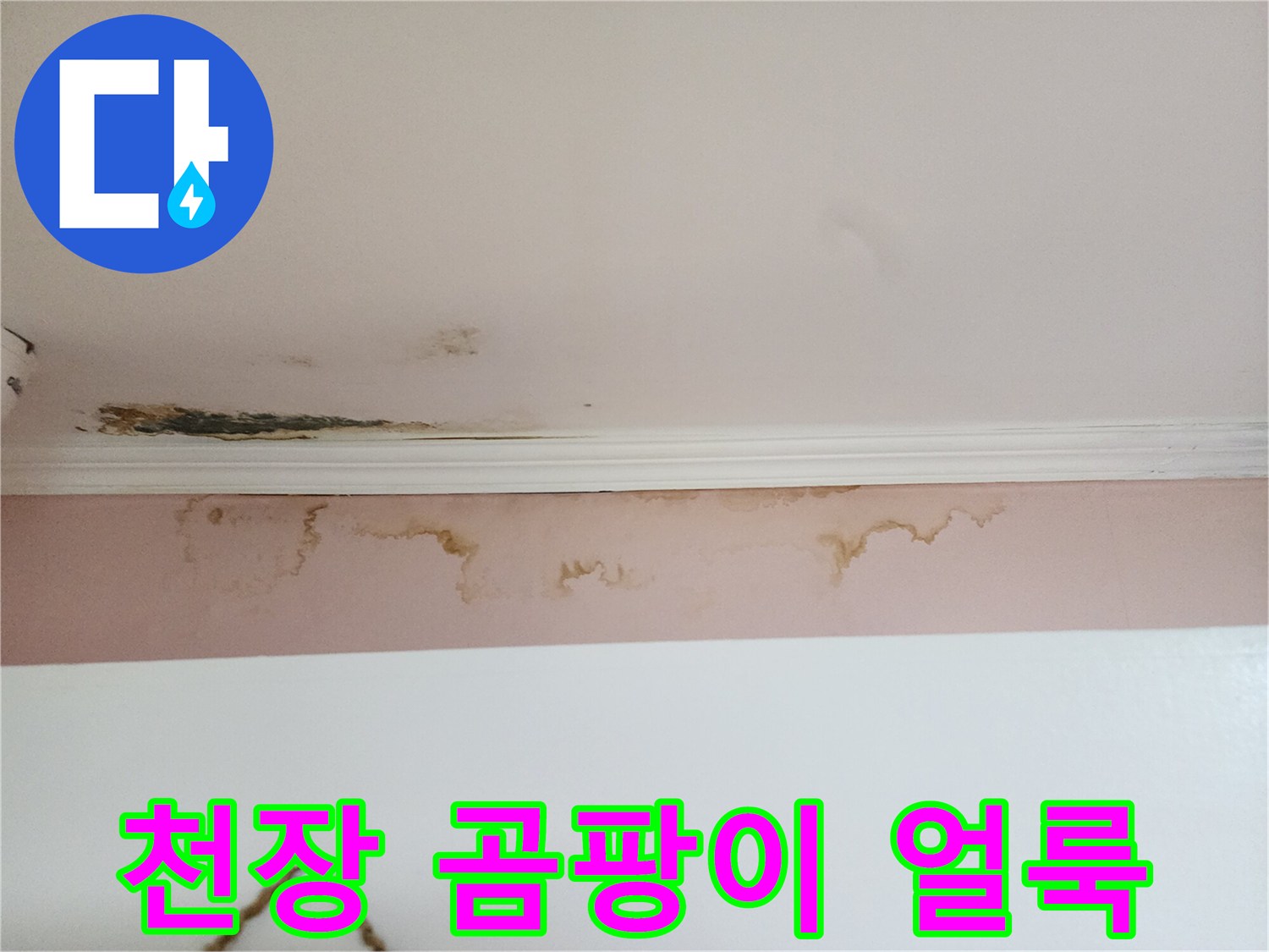 아래층 거주 공간-천장 상단부 누수 피해 양상