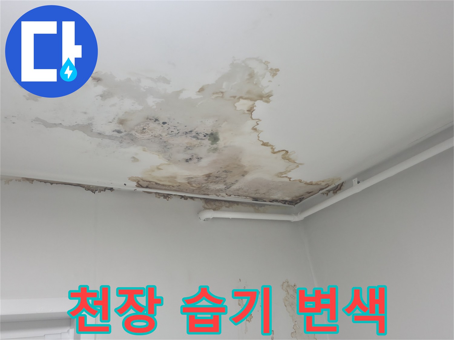 습기가 침투하여 변색된 천장 마감 부위