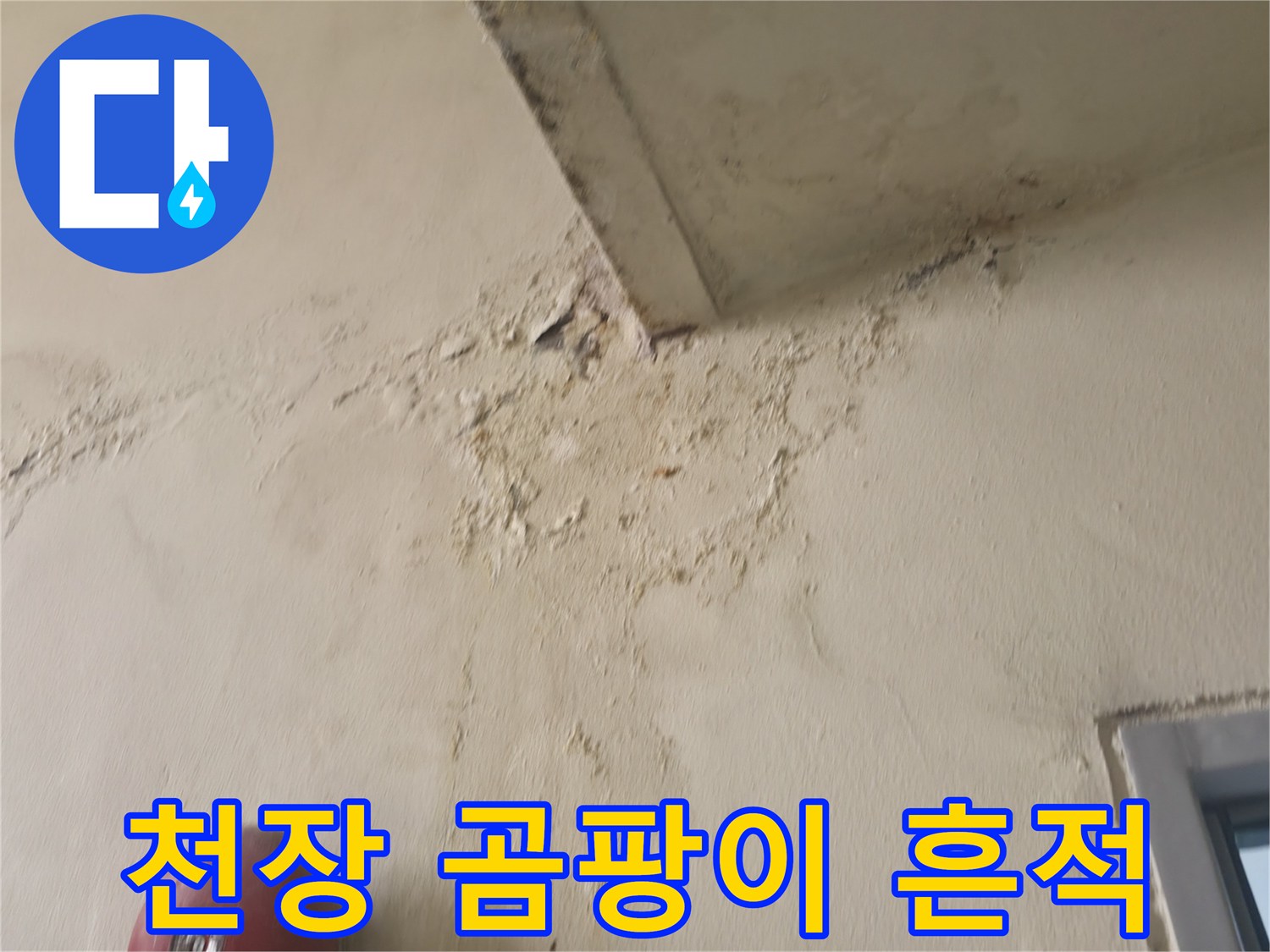 습기로 인해 변색된 천장 마감재 부위