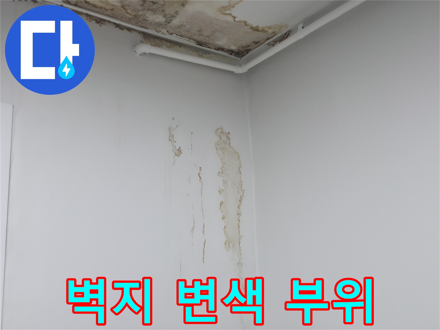 천장 하단-물샘으로 인한 벽지 얼룩 현황