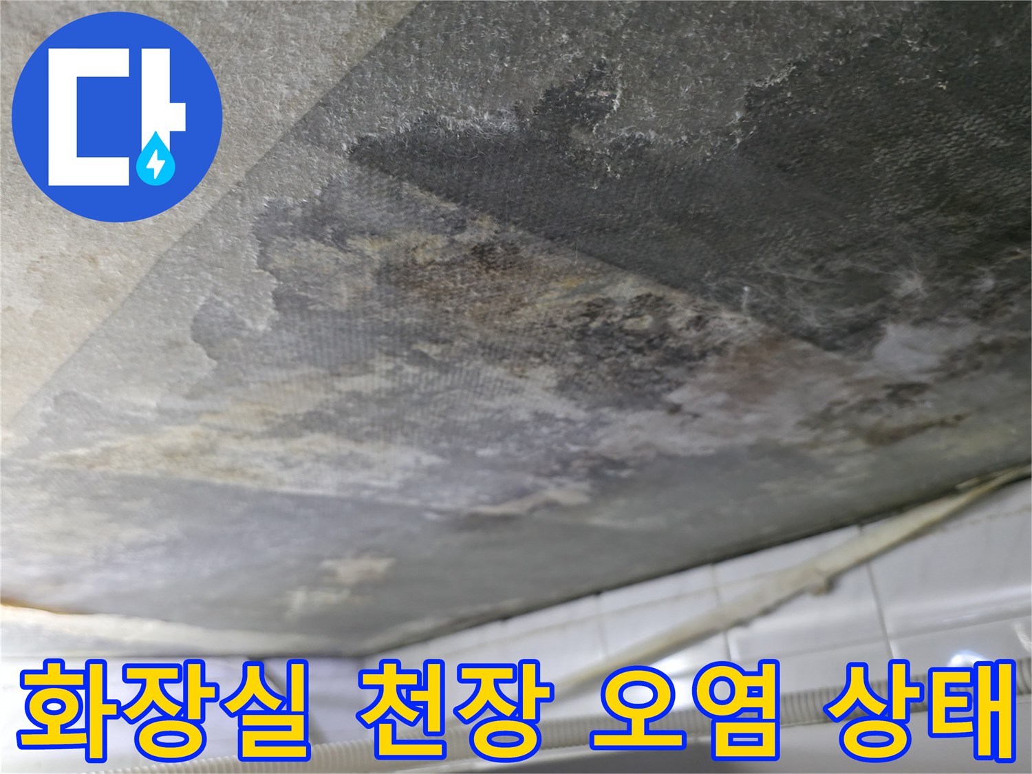 부천 화장실 천장 콘크리트 슬래브의 습기와 검은색 오염 부위