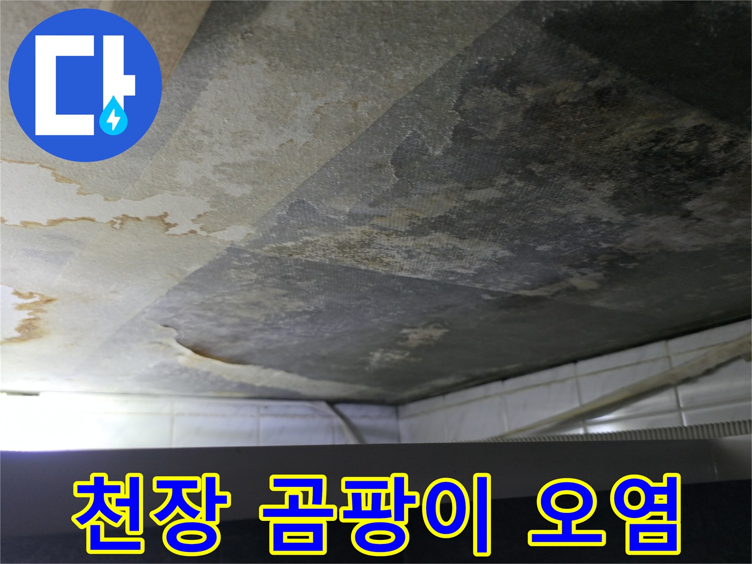 습기로-인해-검게-변한-콘크리트-슬래브-부위