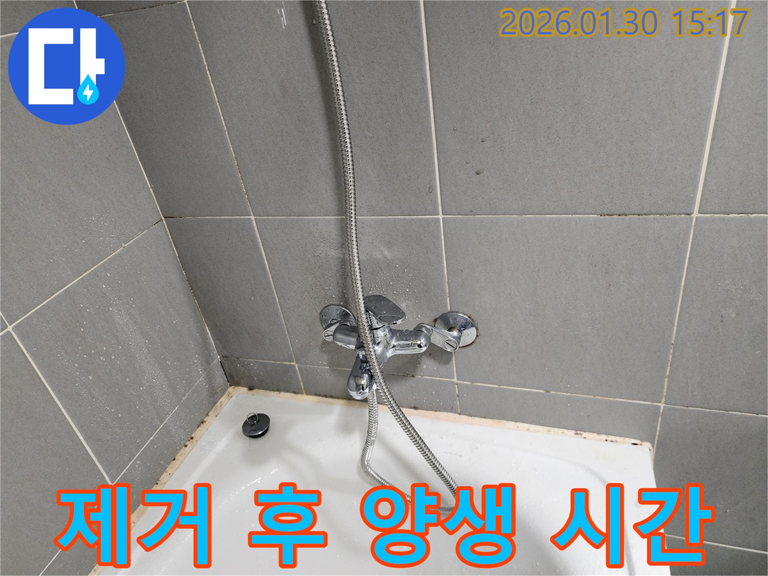 곰팡이 제거 후 - 실리콘 양생 시간 필수