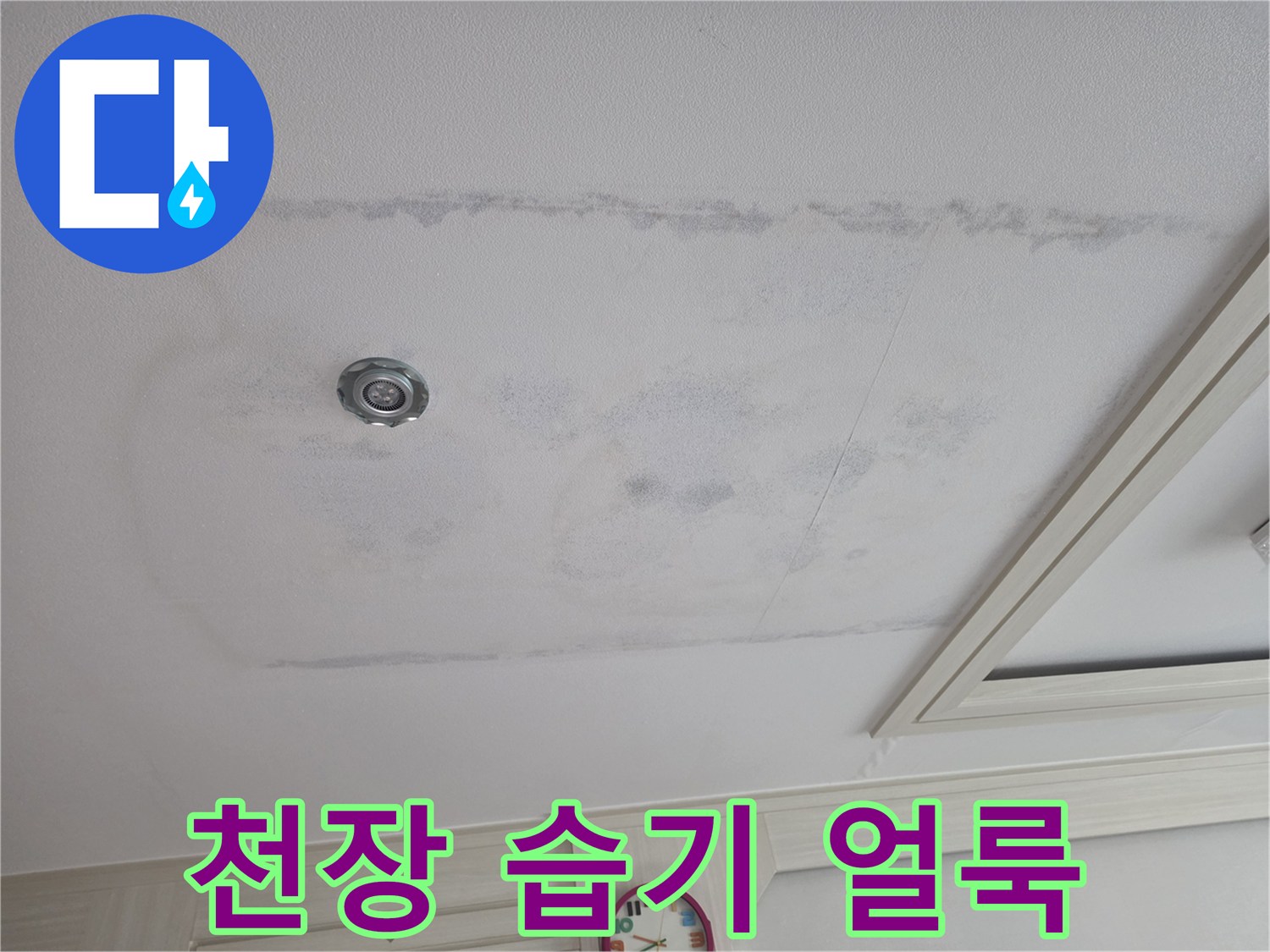 천장-면적을-넓게-침범한-습기-및-물자국