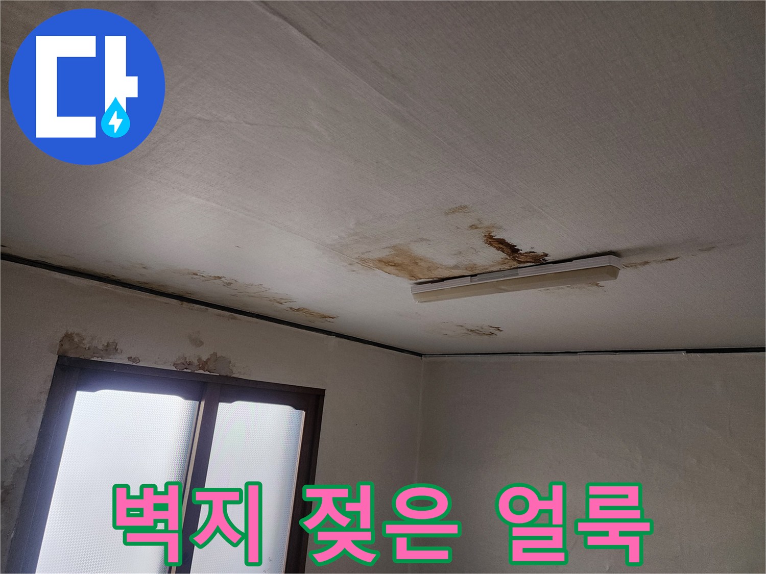 천장-벽지-가장자리에-발생한-축축한-얼룩