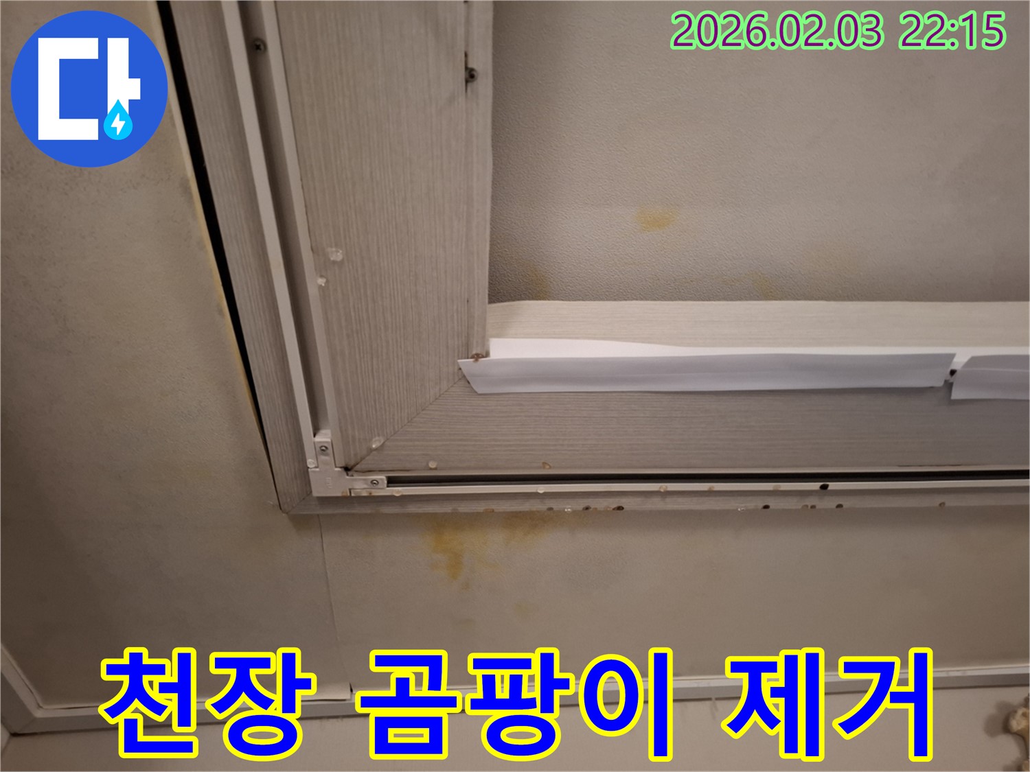 창문 누수로 인한 천장 석고보드 곰팡이 제거 - 곰팡이 제거와 누수 해결을 동시에!