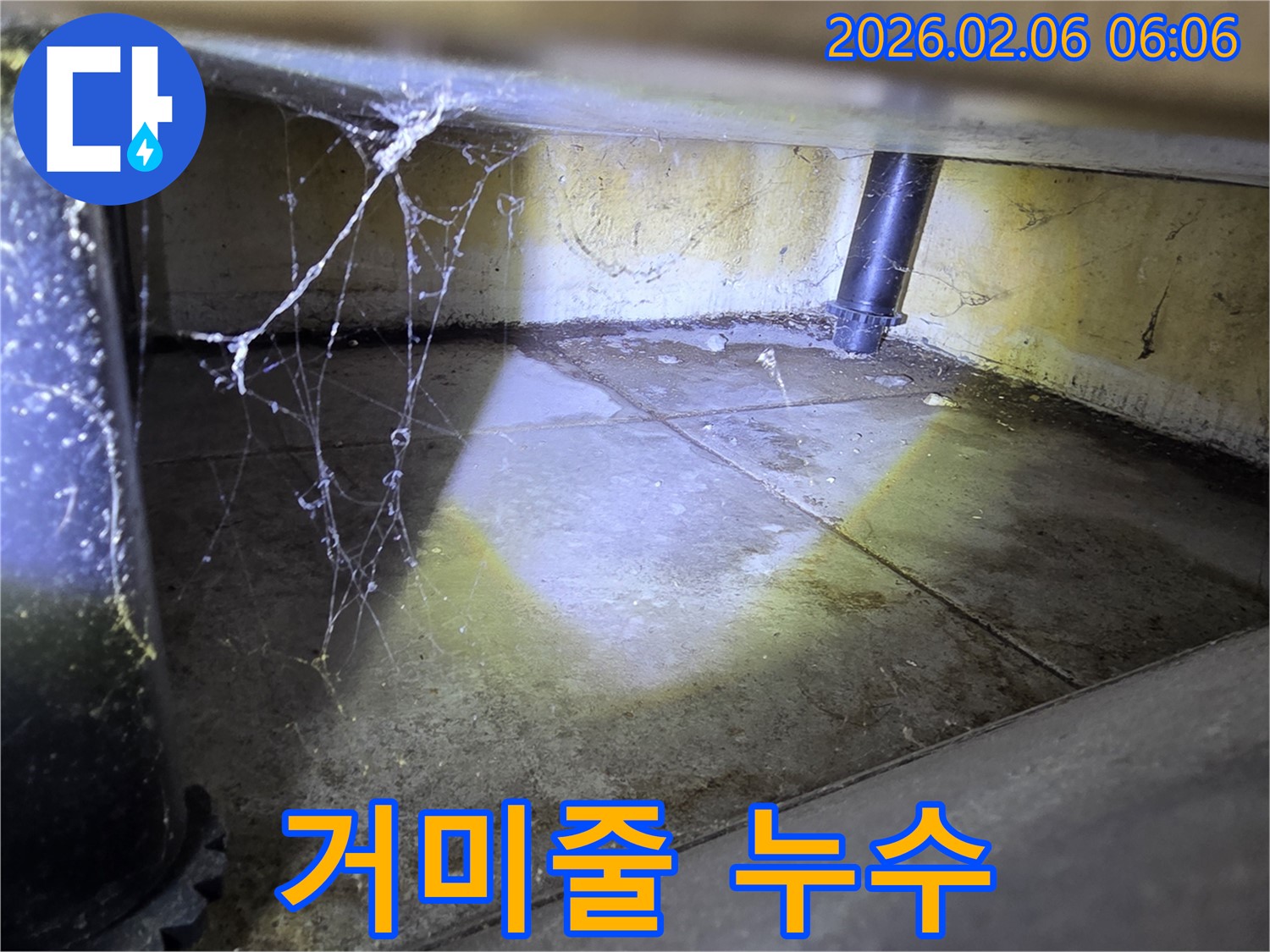 거미줄과 물방울 - 숨은 누수 신호