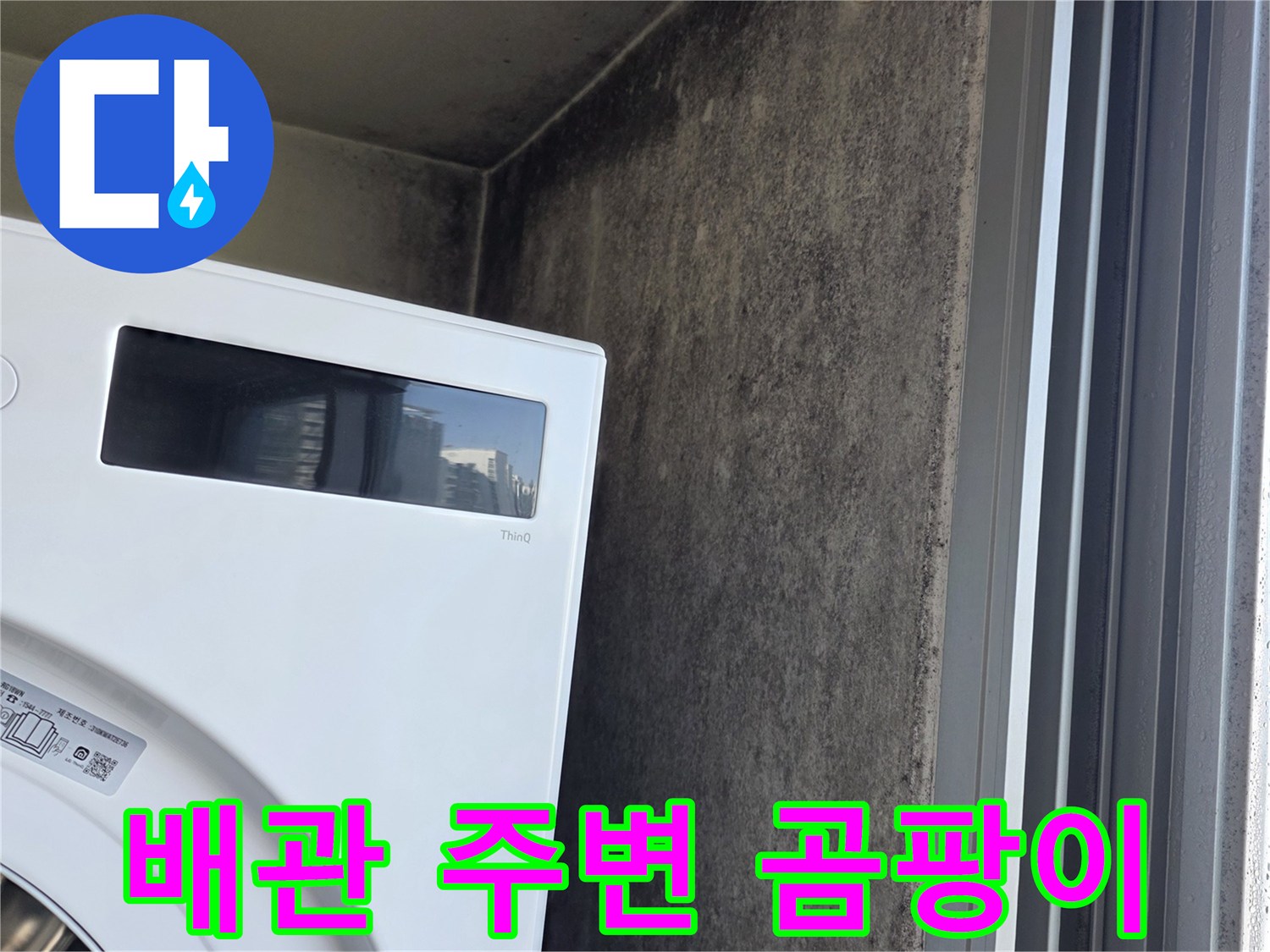 세탁기-뒷벽-및-창틀-하단-곰팡이-상태