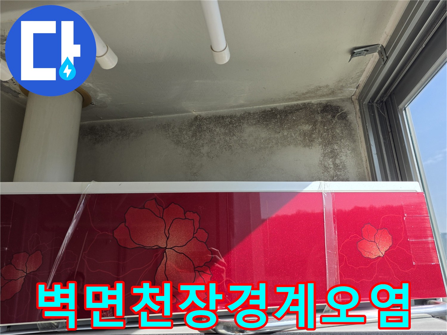 세탁실-벽면-상단에-퍼진-곰팡이와-습기흔적