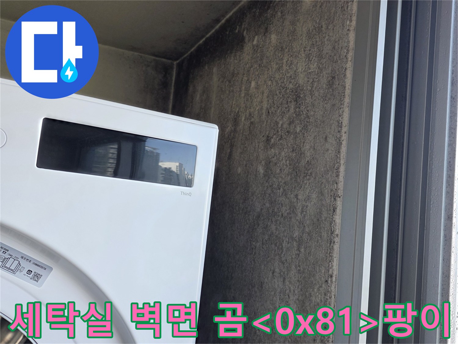세탁실-벽면의-심한-곰팡이-및-오염-상태