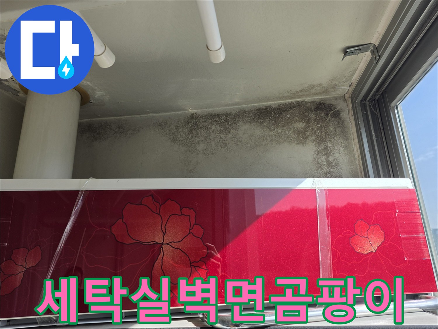 세탁실-천장-하단부의-광범위한-곰팡이-오염