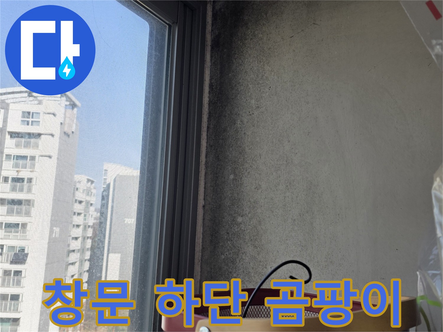 창틀-프레임-하단-벽면-곰팡이-오염-부위