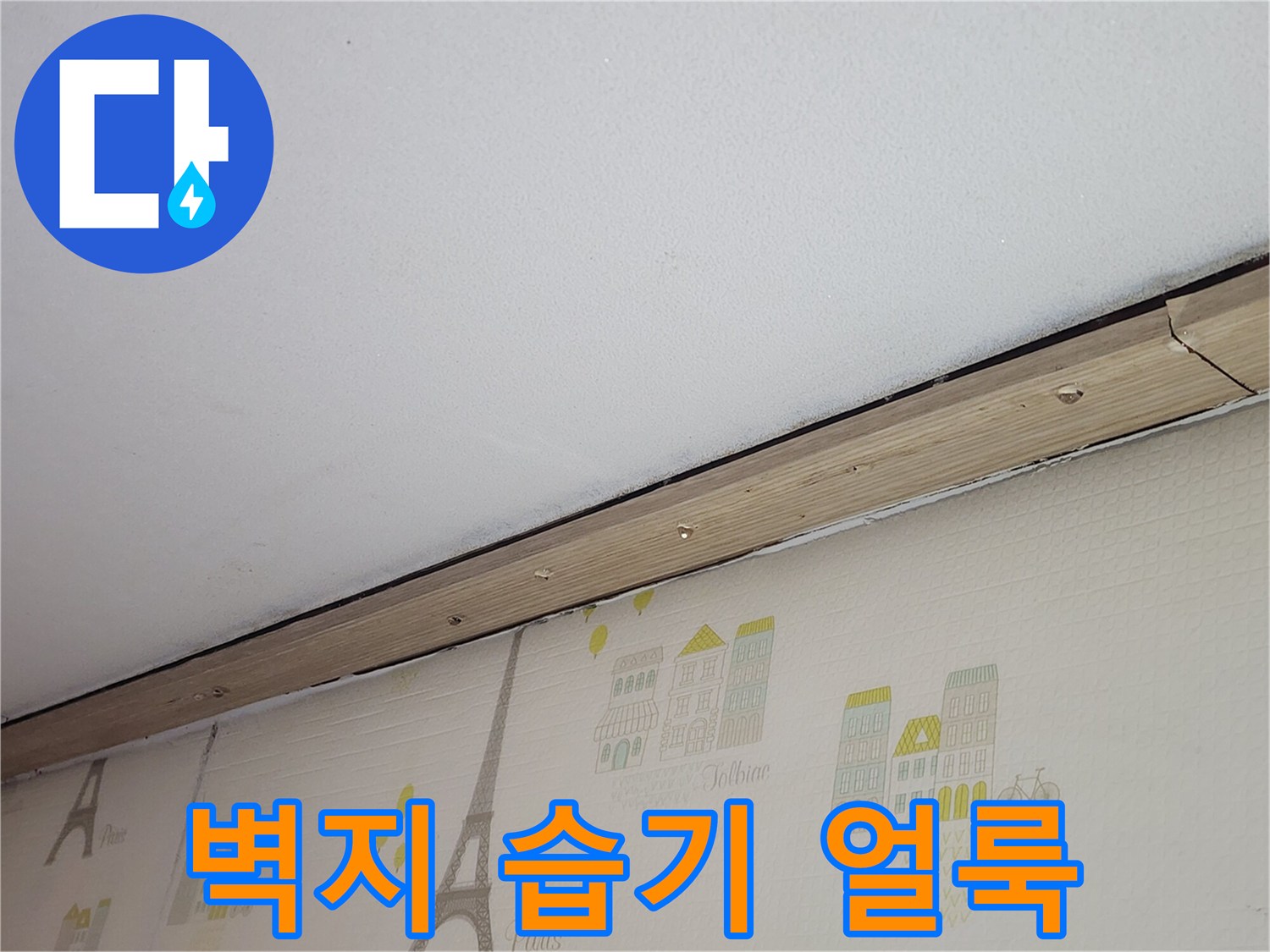 아랫집-천장-벽지-습기-및-변색-부위