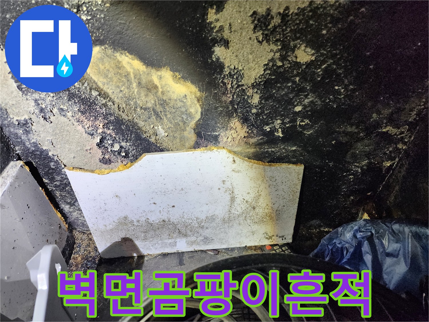 누수로 인해 곰팡이가 발생한 지하 벽면