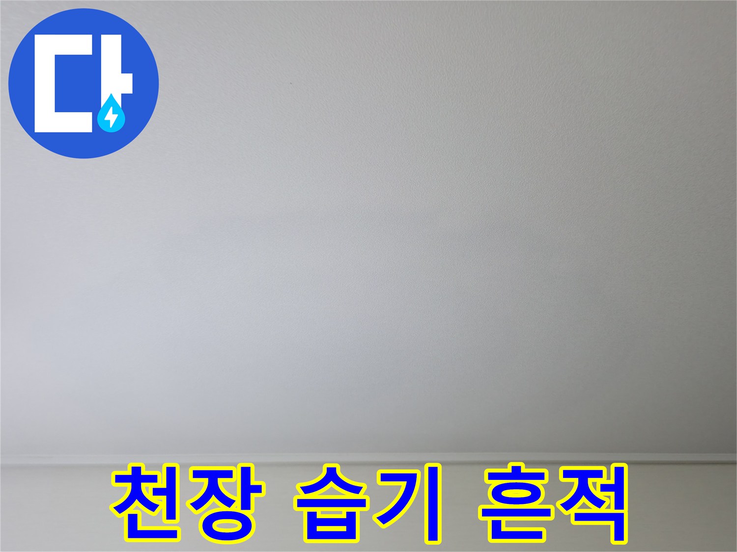 거실 천장에 나타난 넓은 습기 자국