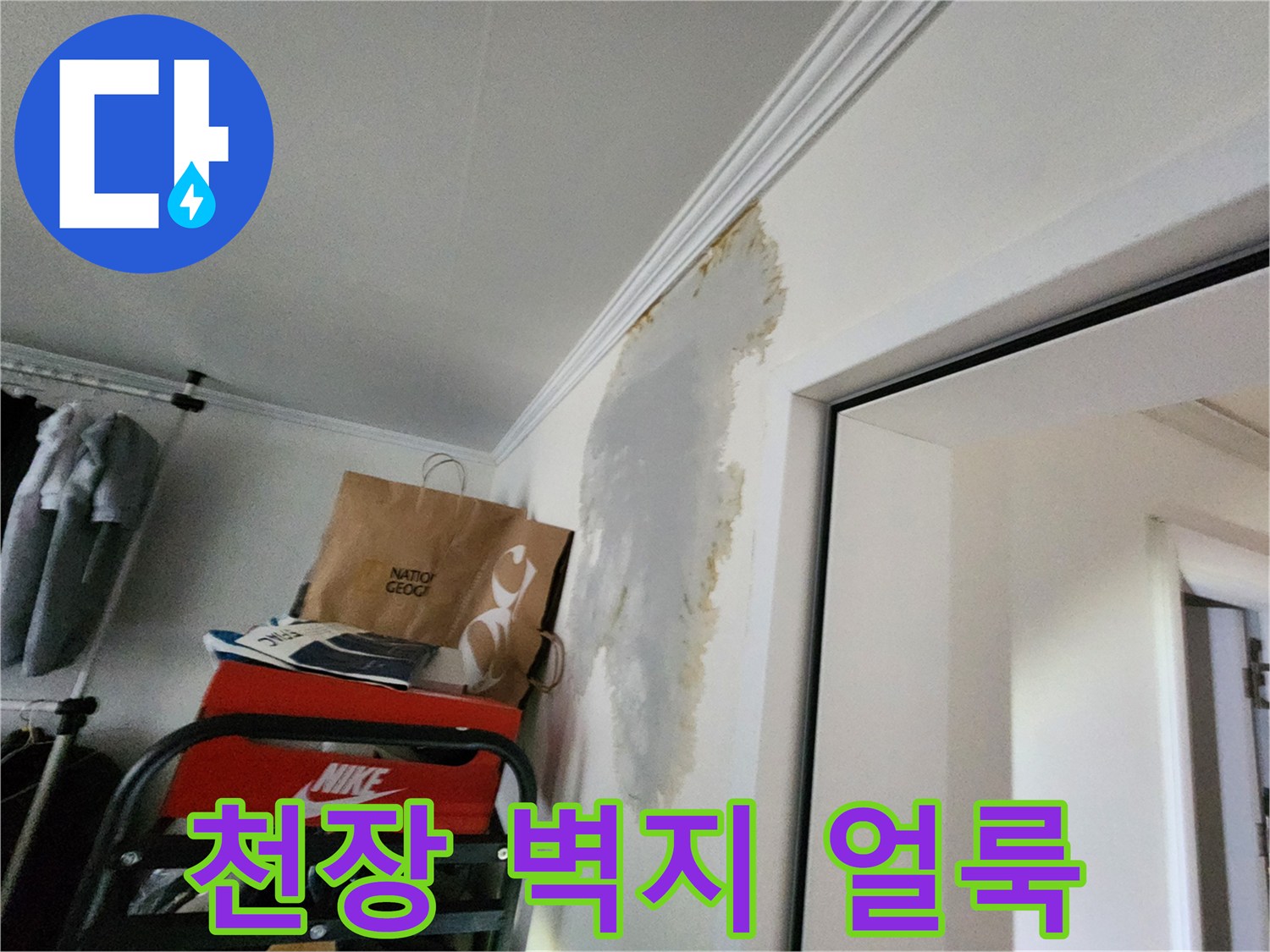 의정부 현장 - 천장 벽지가 젖어 변색된 상태