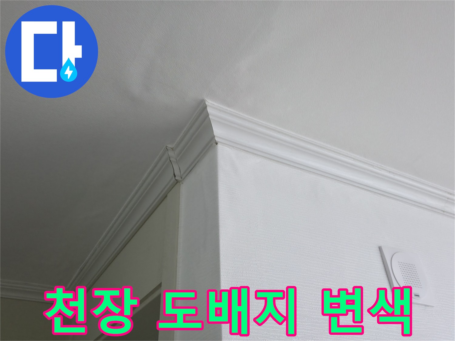 의정지 현장-누수로 인해 얼룩진 천장 마감재 상태