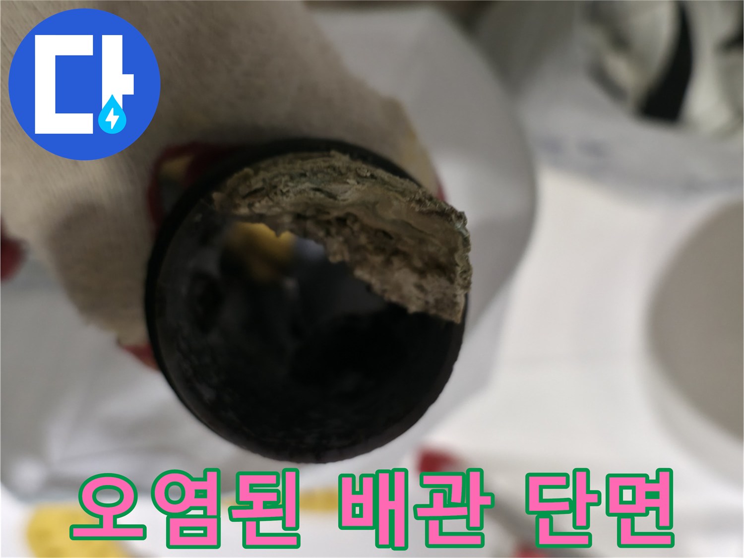 이물질로 가득 찬 하수 배관의 내부 모습