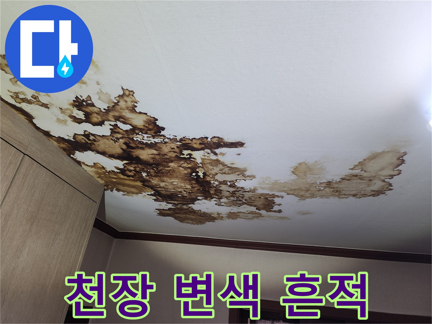 광범위하게 퍼진 천장 누수 얼룩 부위