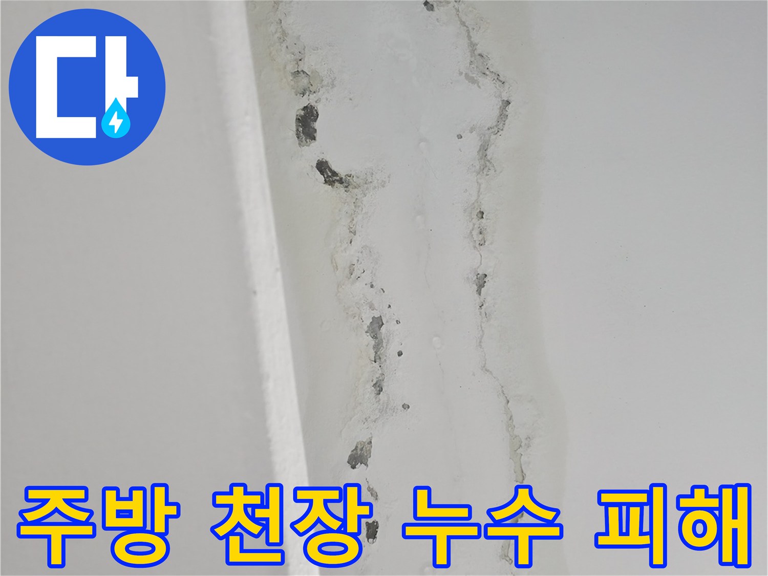 아랫집 천장 부위-물샘으로 인한 곰팡이와 얼룩