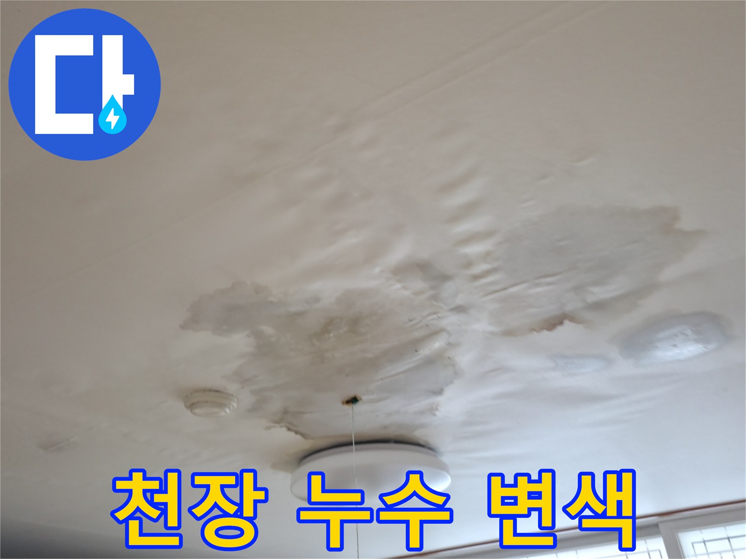 천장 벽지가 물에 젖어 변색된 모습