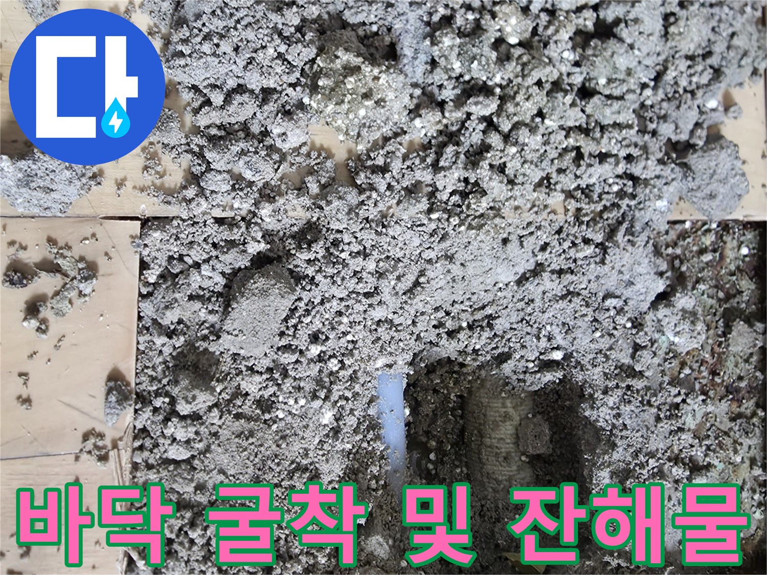거실 마루 아래 젖은 흙과 콘크리트 조각들