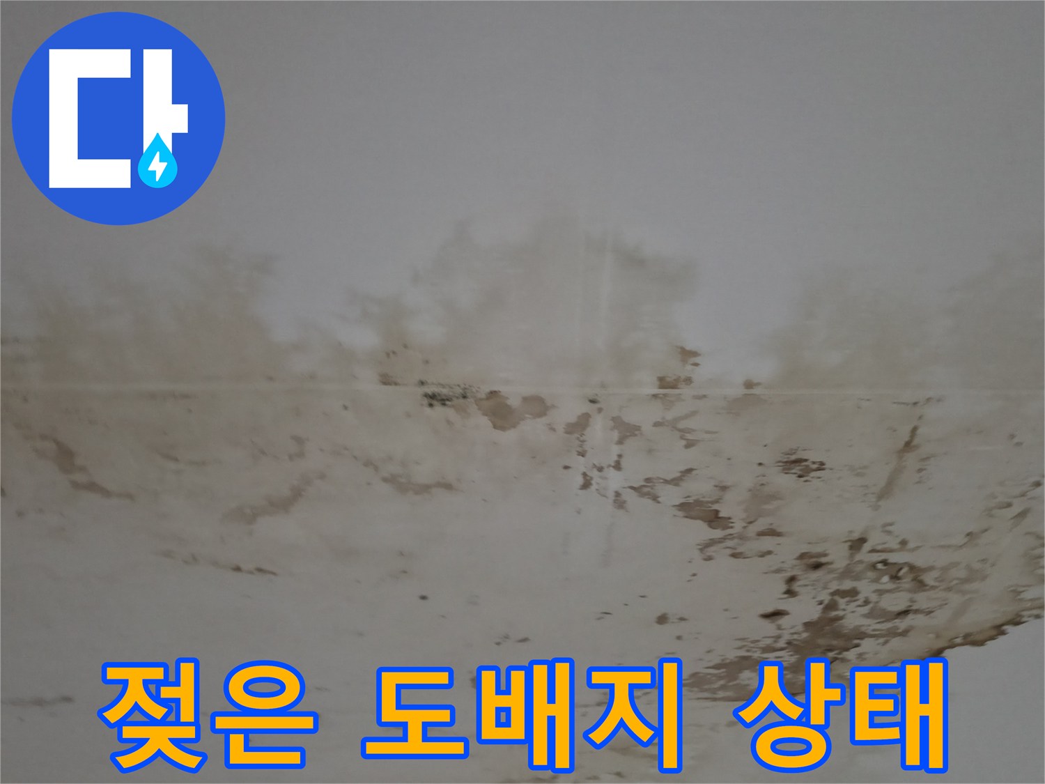 세탁실 내부-천장 벽지 젖음 및 오염 확인