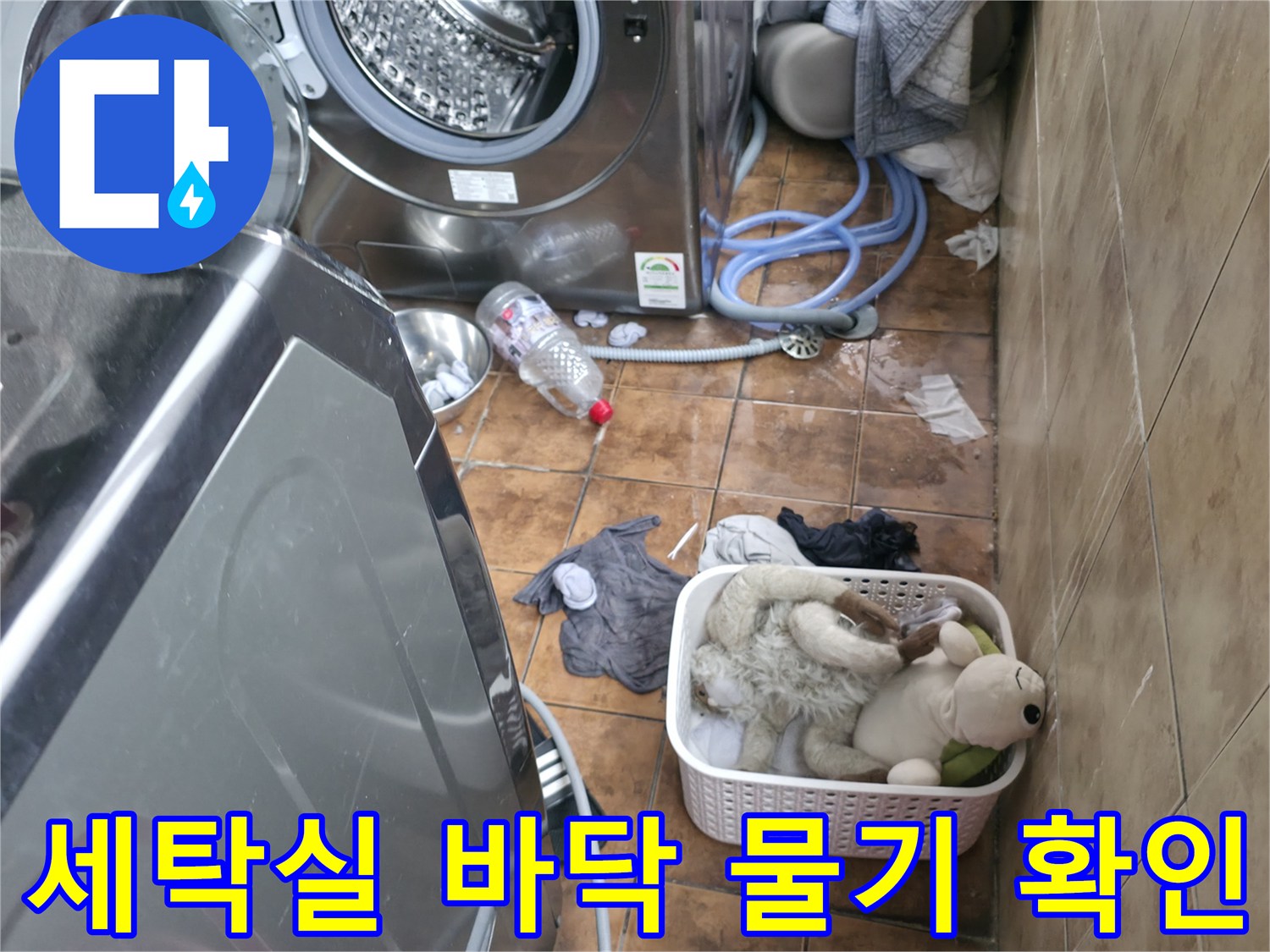 세탁실 세탁기 주변-바닥 습윤 및 오염 상태