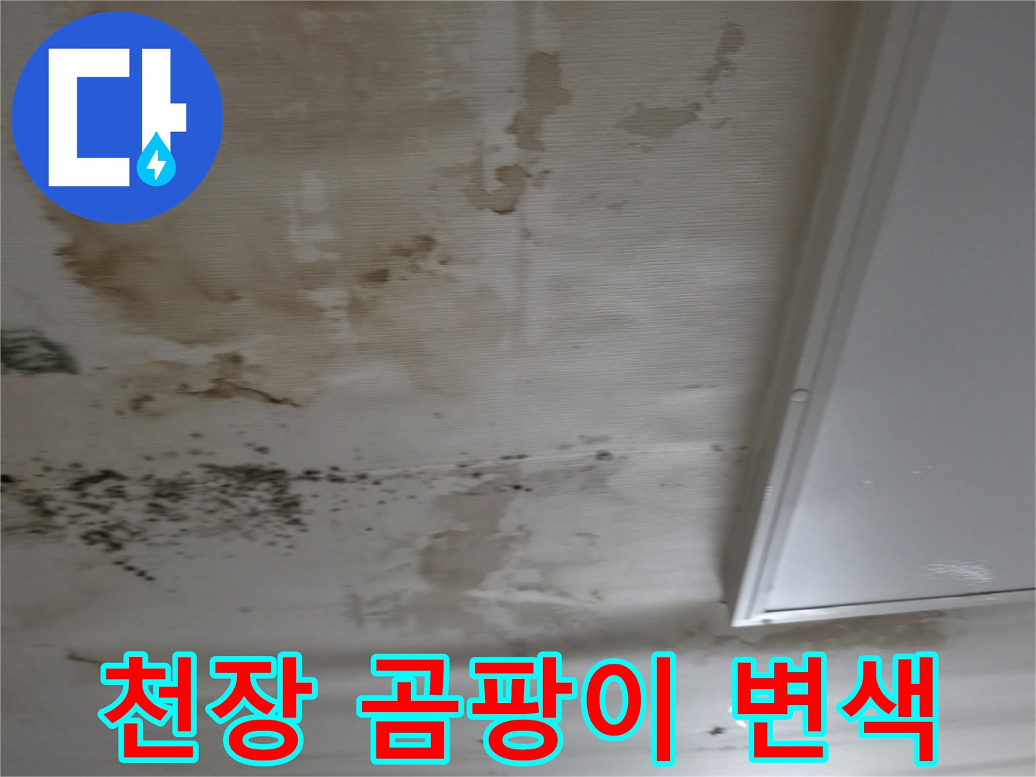 천장 마감면 곳곳에 발생한 검은 곰팡이와 습기로 인한 얼룩