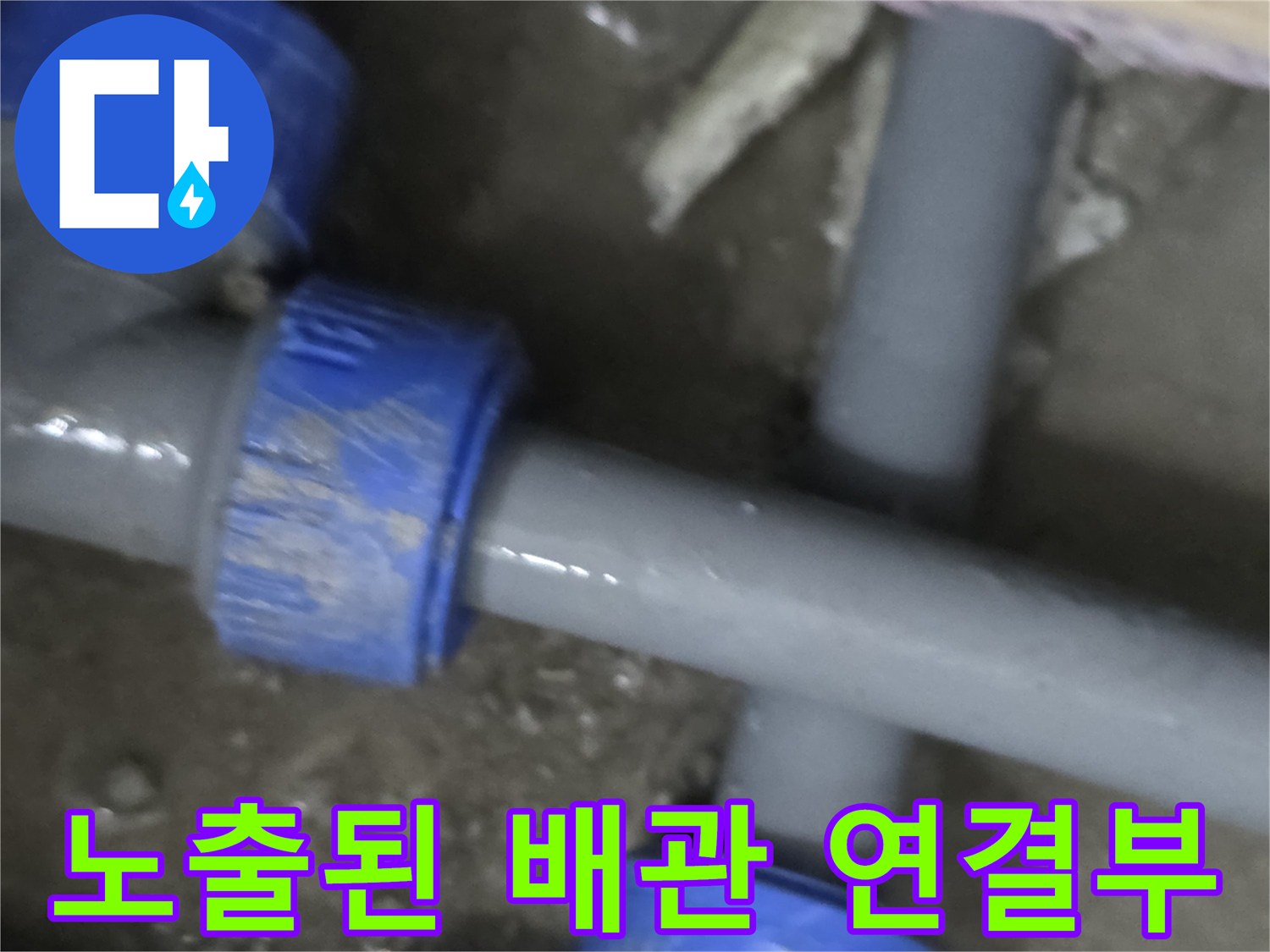 누수 지점 탐지 후 - 드러난 회색 배관의 분기 부위
