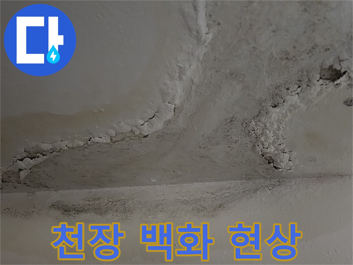 아파트 천장 부위의 하얀 백화 현상과 습기 흔적