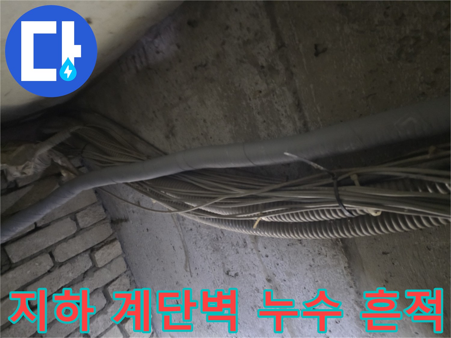 지하 계단실 벽면의 누수 오염 및 배관 상태