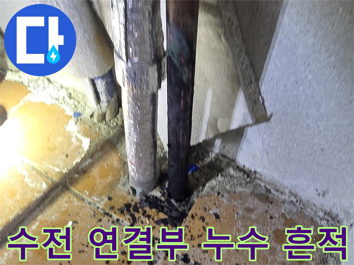 양주 광적면-오염된 배관과 물샘이 의심되는 타일 부위
