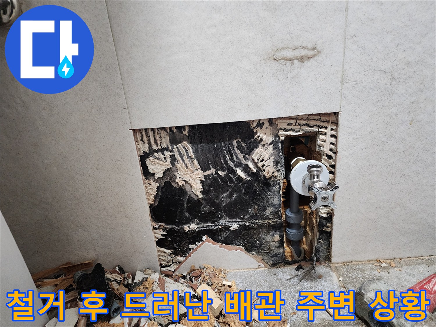 벽체 내부의-심한 곰팡이와 물에 젖은 벽면