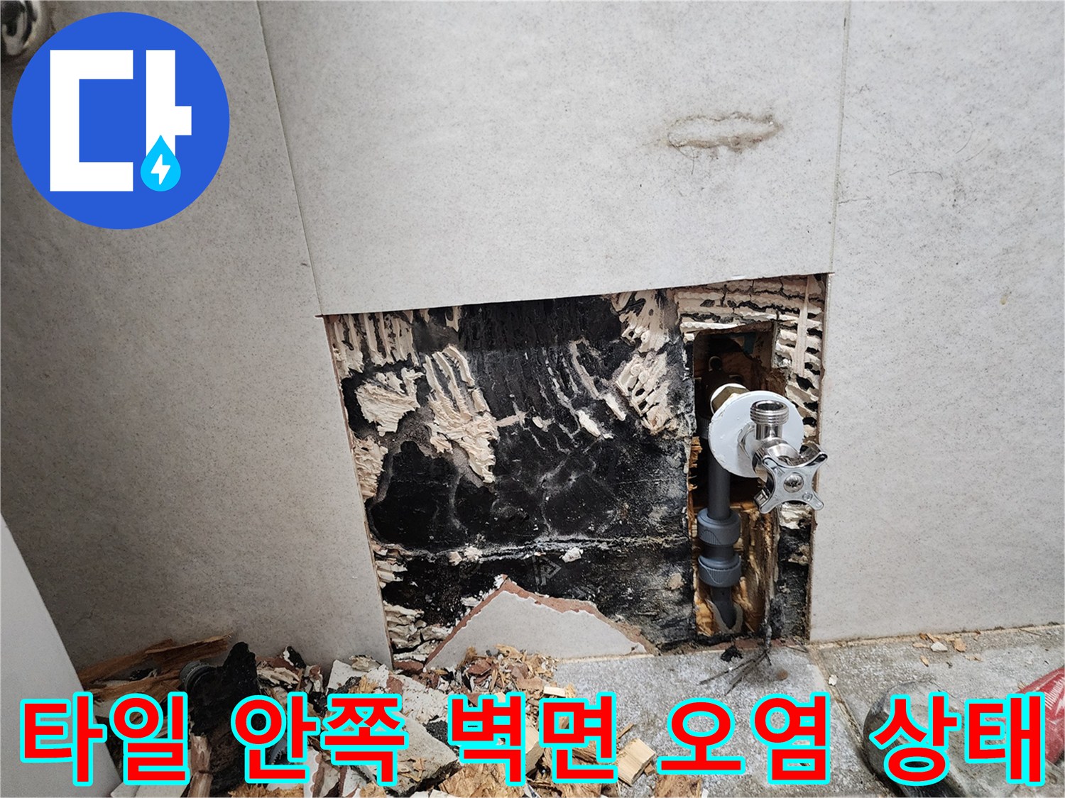 철거된 타일 뒤편-오염된 콘크리트와 곰팡이